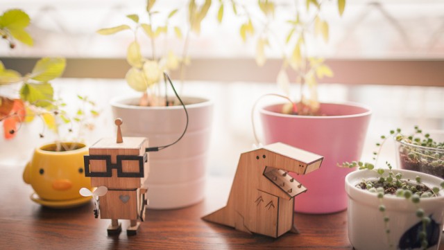roboței te ajută să nu uiți să uzi plantele
